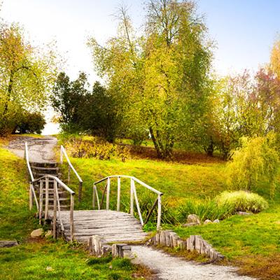 球探比分旧版大全下载手机版